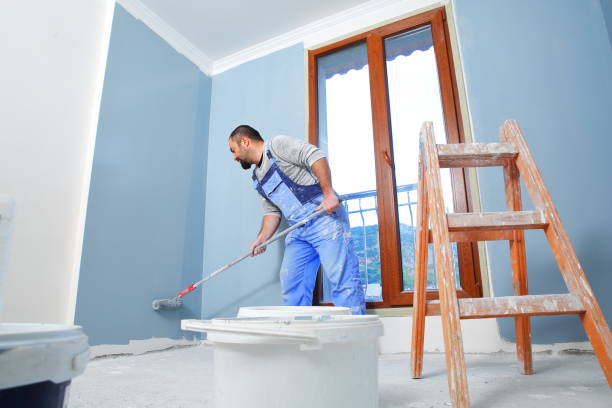Best Black Mold Removal  in Stro Valley, CA