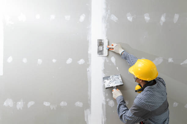Castro Valley, CA Mold Removal Company