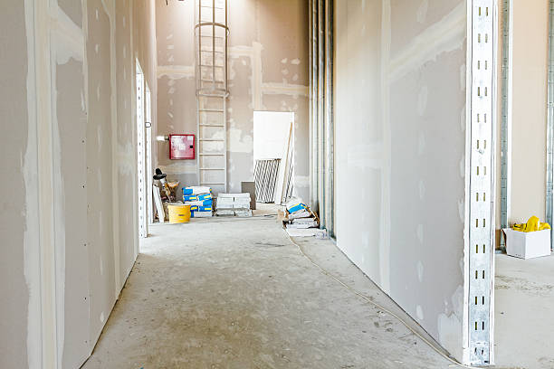 Best Emergency Mold Remediation  in Stro Valley, CA